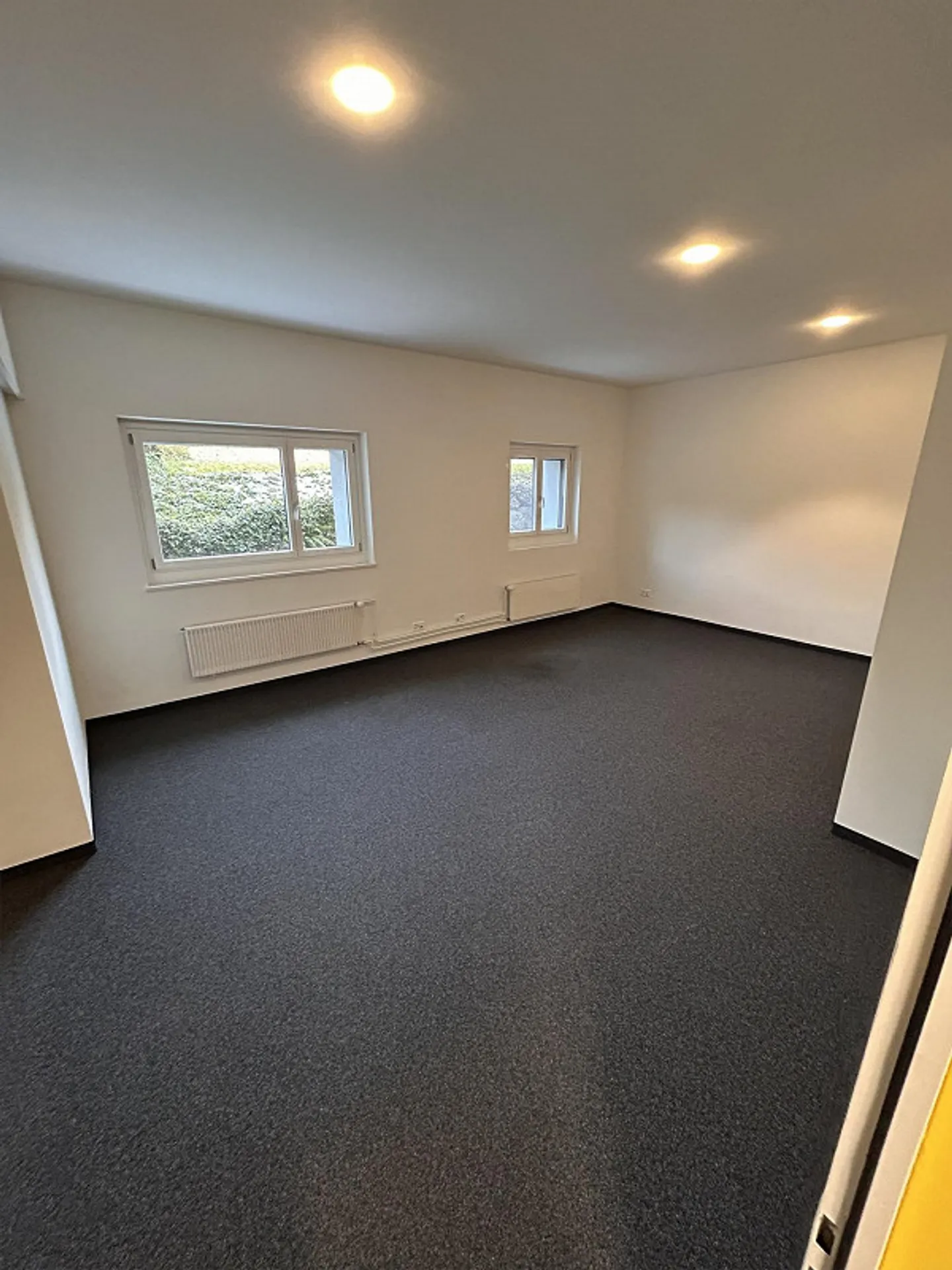 Office Building, Goldau - Photo 3 of 10