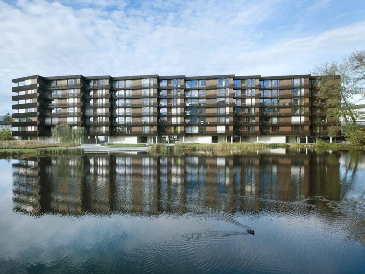 Recherche d'un nouveau locataire - Appartement 4.5 à Uster - Photo 1 sur 9