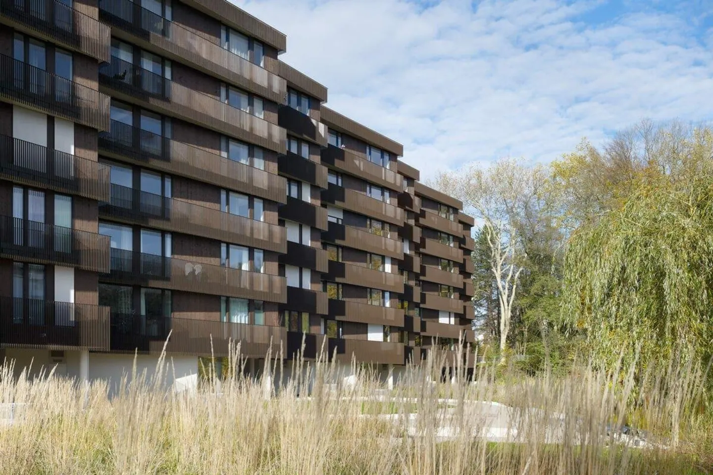 Recherche d'un nouveau locataire - Appartement 4.5 à Uster - Photo 2 sur 9