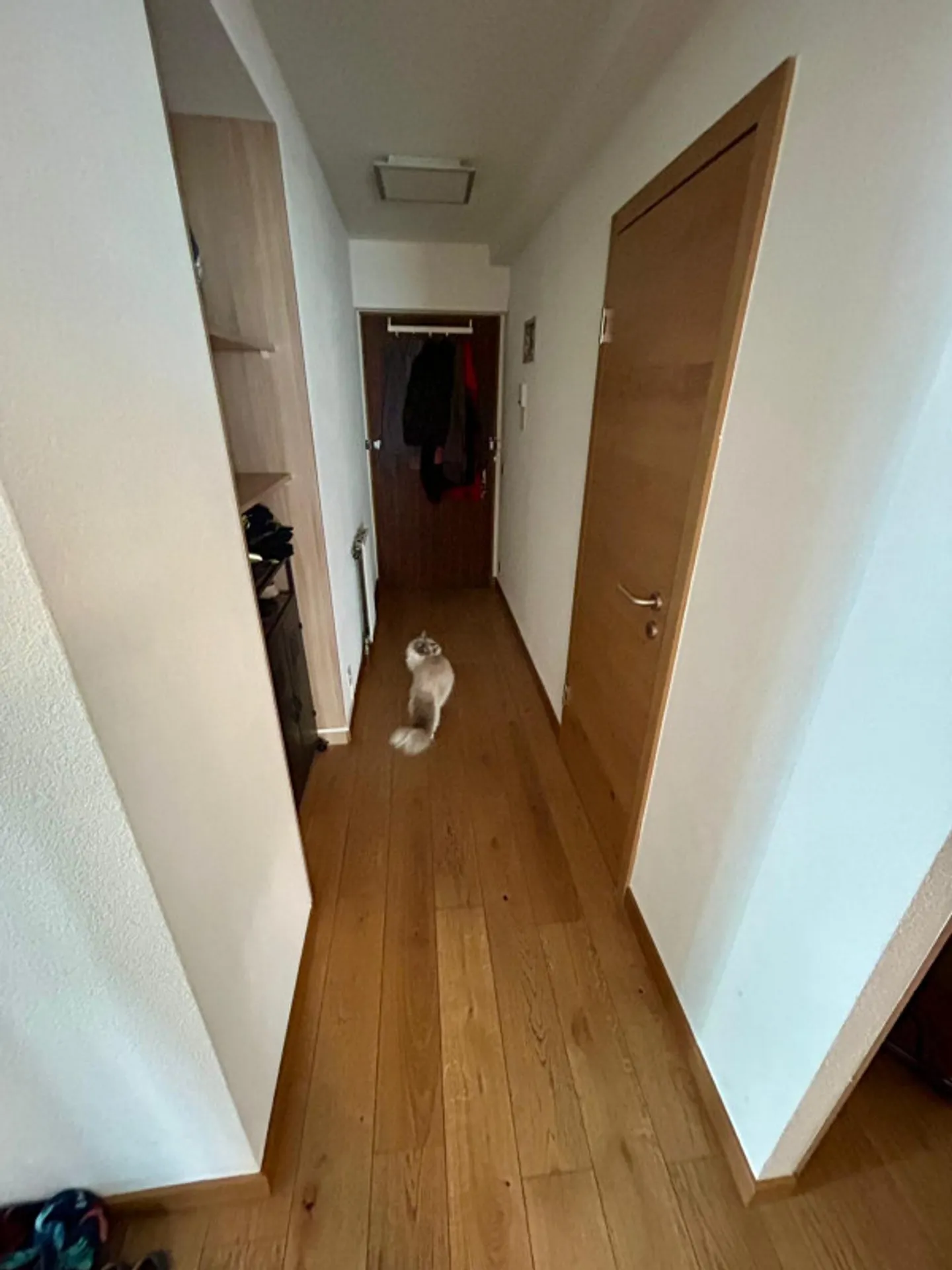 Helles 4-Zimmer-Apartment in Genf - Foto 9 von 13