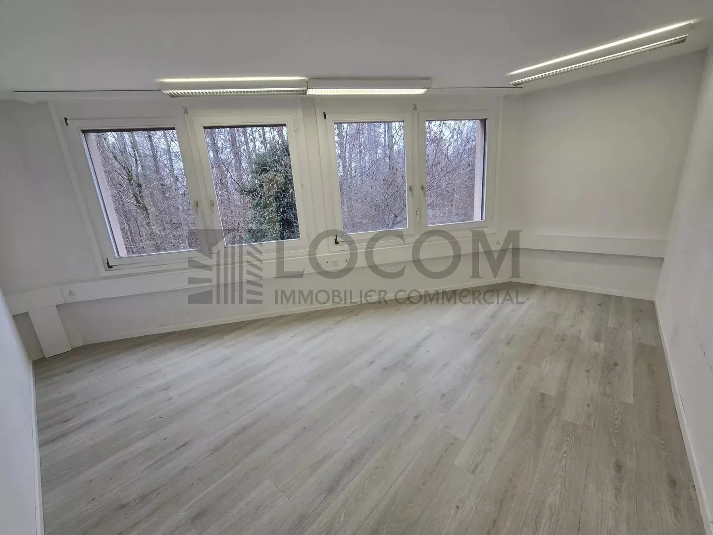Locaux Professionnels à Louer - Photo 4 sur 12