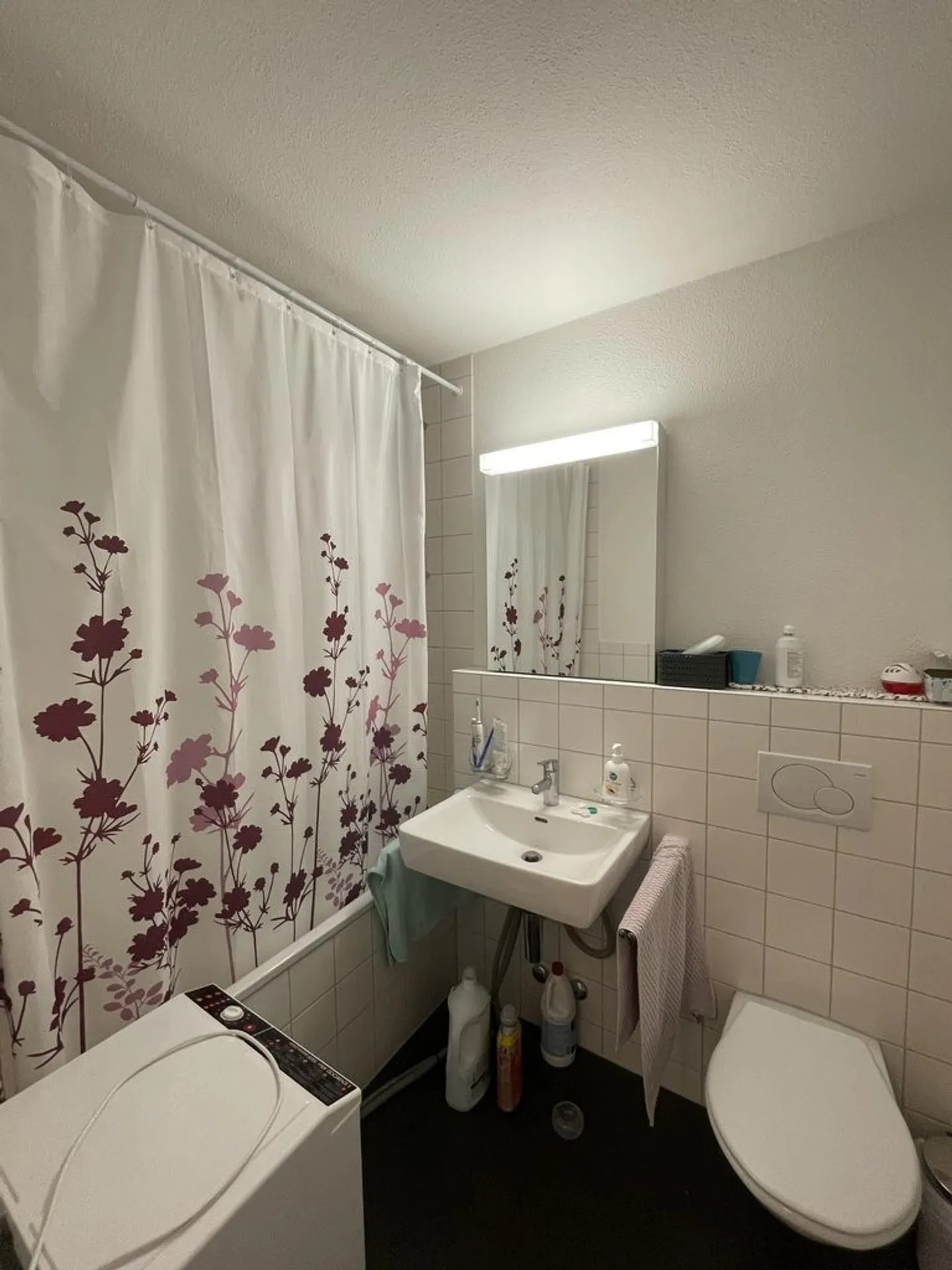 Vivre dans un endroit calme et ensoleillé ! - Photo 5 sur 8