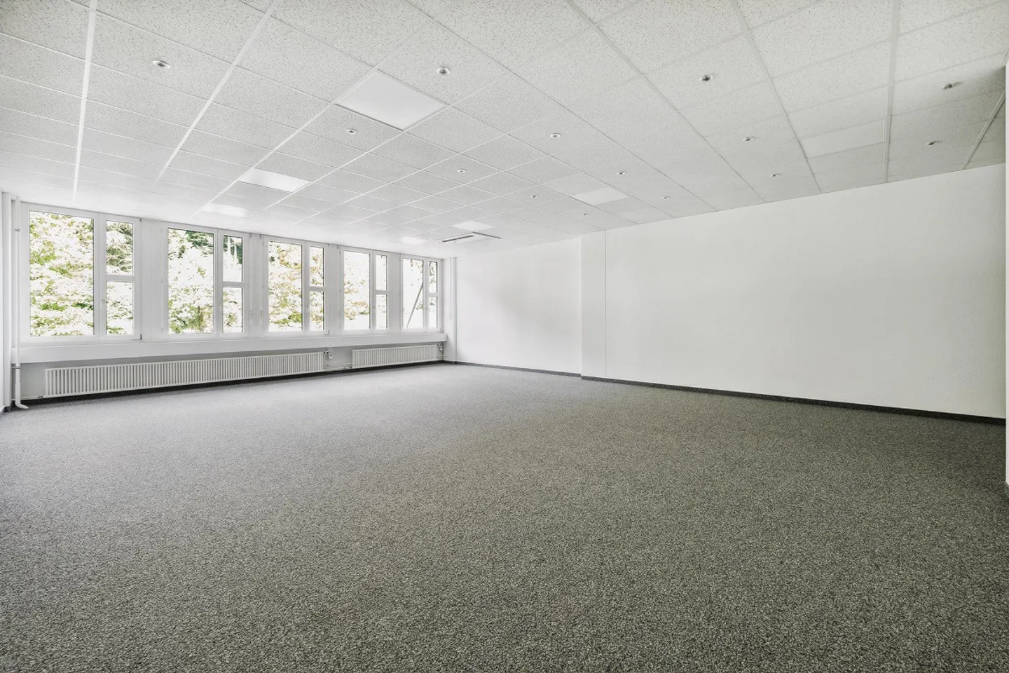 Affordable Office Space in Reppischtal Awaits Your Move - Photo 4 of 8