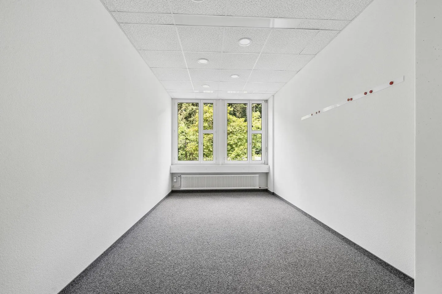 Affordable Office Space in Reppischtal Awaits Your Move - Photo 6 of 8