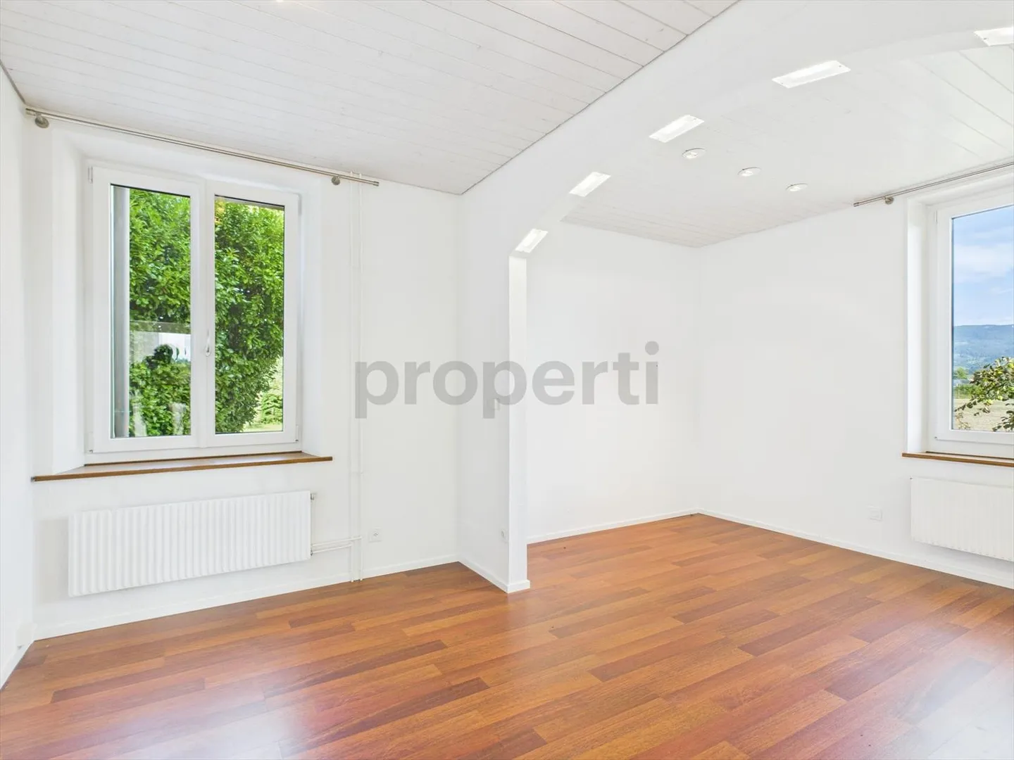Proprietà unica a Luterbach, Canton SO - Foto 5 di 10