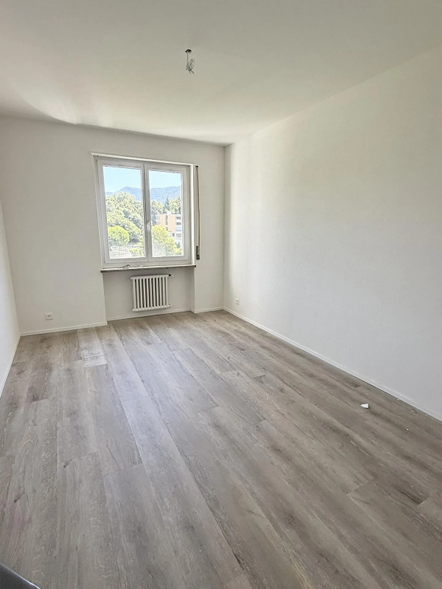 Appartamento 4.5 locali ristrutturato - Foto 6 di 7