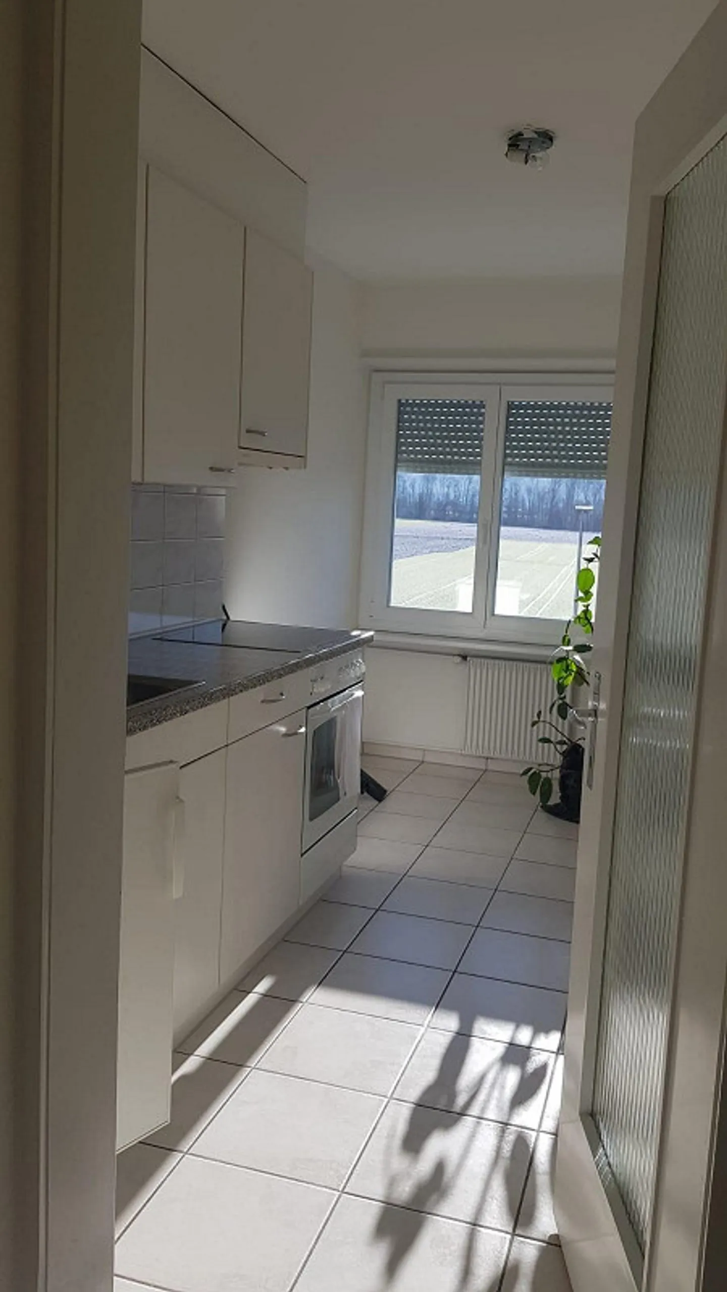 Quiet 1.5-room apartment in Meinsberg - Photo 3 of 4