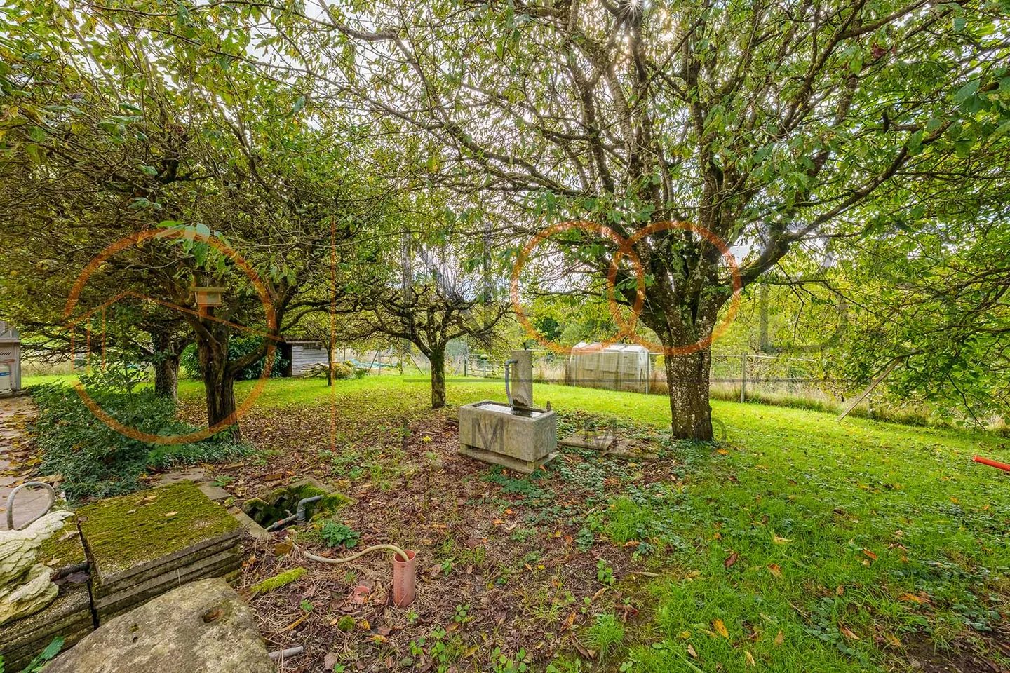 Casa singola in affitto - Foto 6 di 17
