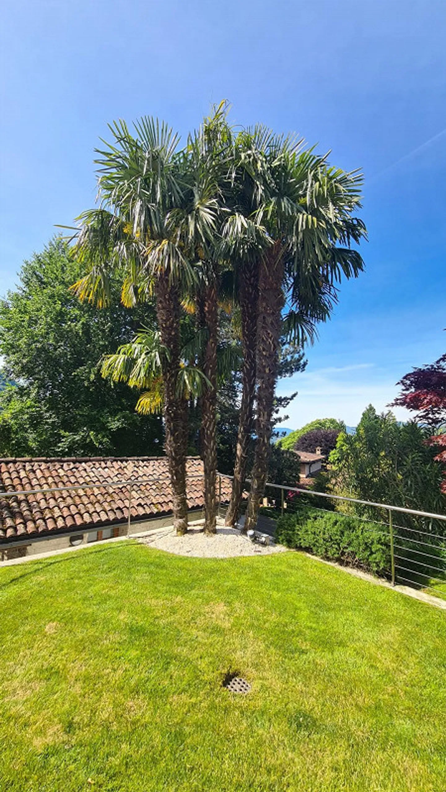 Villa Elegante con Parco Privato - Foto 4 di 23