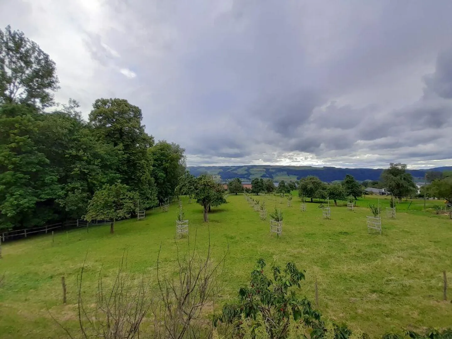 Attraktive 4 1/2 Zimmer-Wohnung mit traumhafter Aussicht - Foto 2 von 13