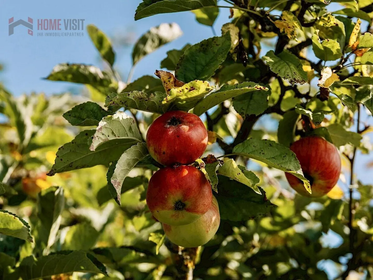 Exclusive Living Experience in Nature - Luxury Meets Nature - Photo 26 of 28