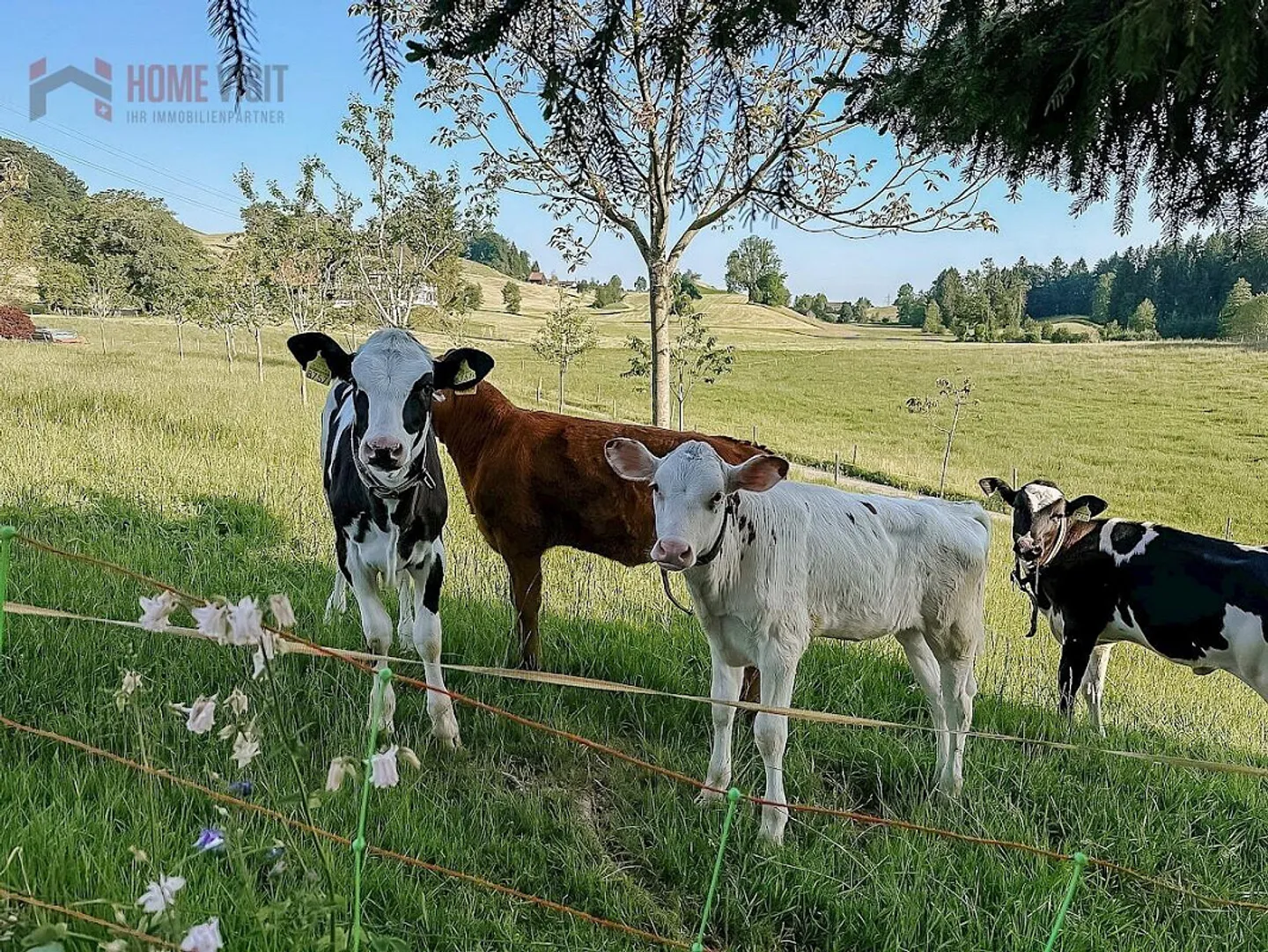 Exclusive Living Experience in Nature - Luxury Meets Nature - Photo 28 of 28