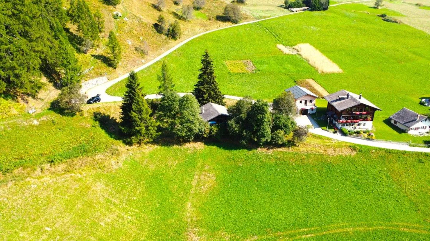 Non-buildable land on the edge of the forest in Goms - Photo 1 of 13