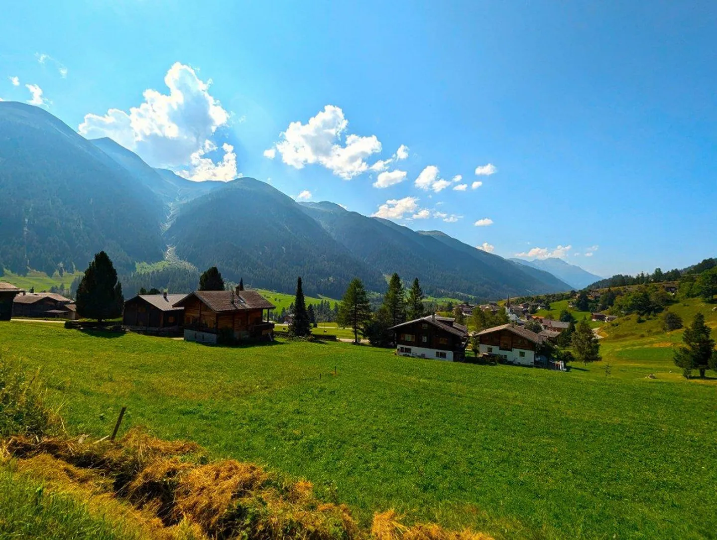 Non-buildable land on the edge of the forest in Goms - Photo 2 of 13