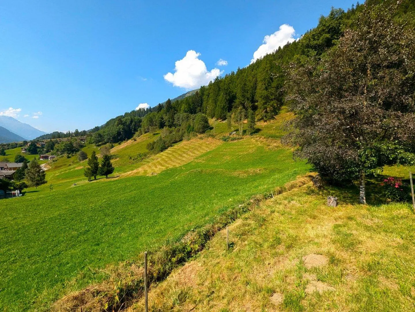 Non-buildable land on the edge of the forest in Goms - Photo 4 of 13