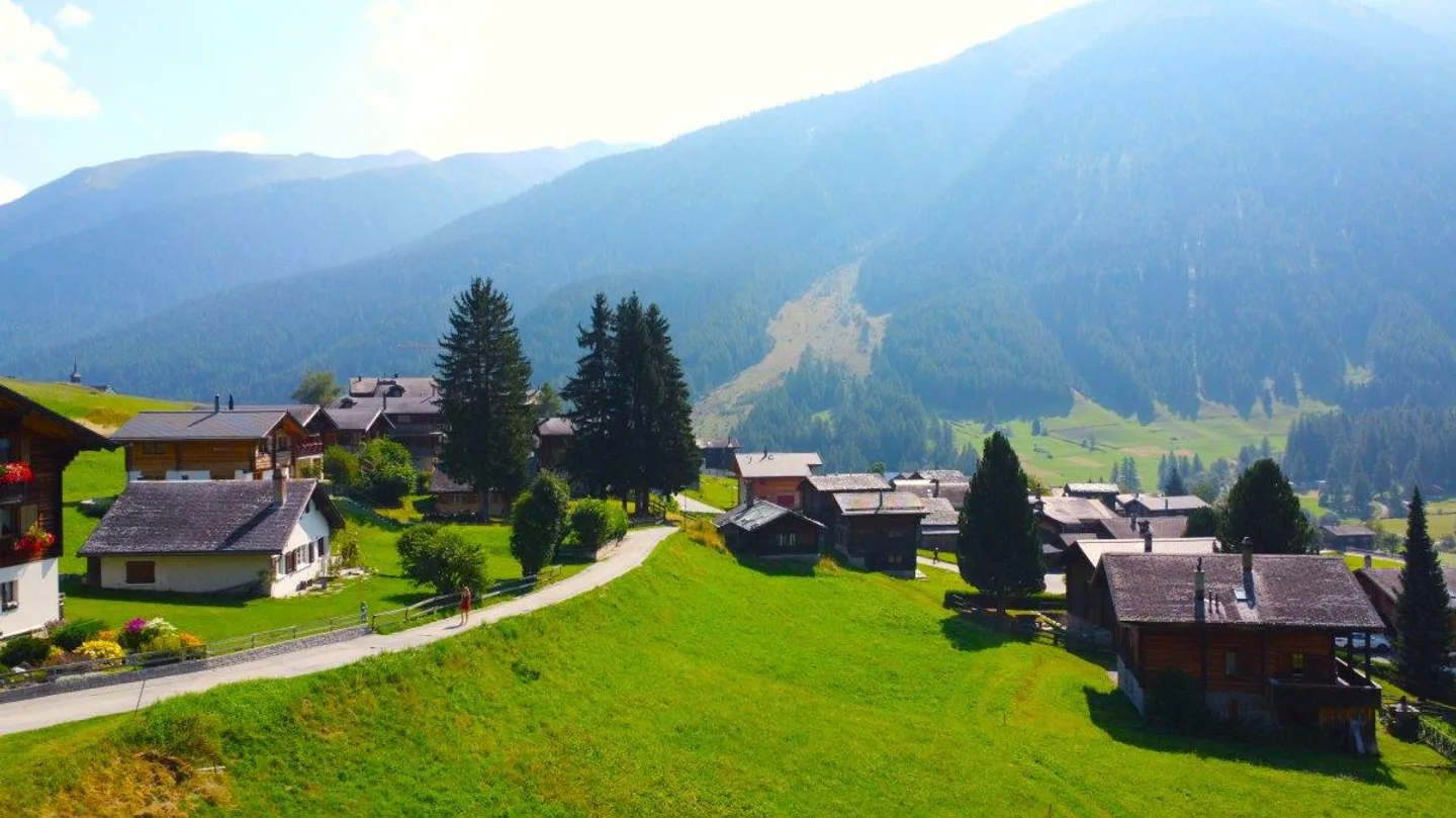 Non-buildable land on the edge of the forest in Goms - Photo 5 of 13