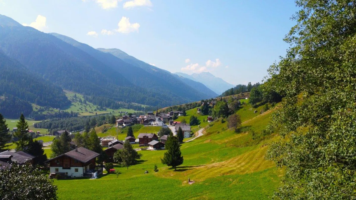 Non-buildable land on the edge of the forest in Goms - Photo 6 of 13