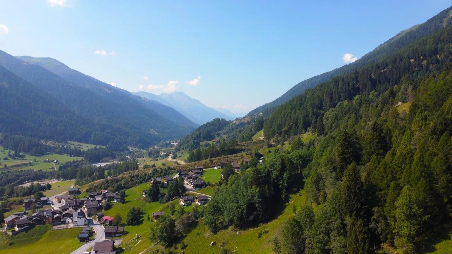 Non-buildable land on the edge of the forest in Goms - Photo 10 of 13