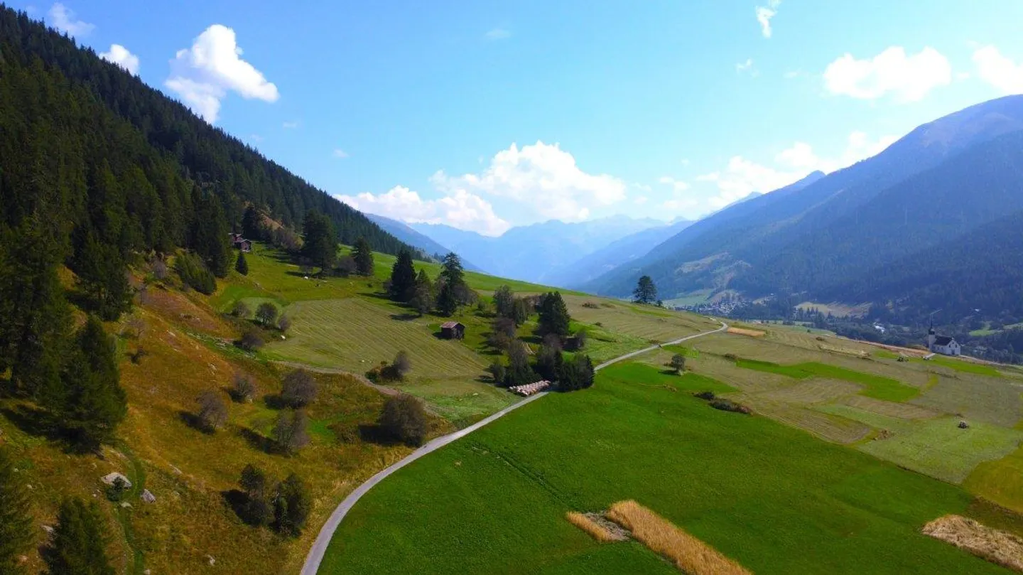 Non-buildable land on the edge of the forest in Goms - Photo 8 of 13