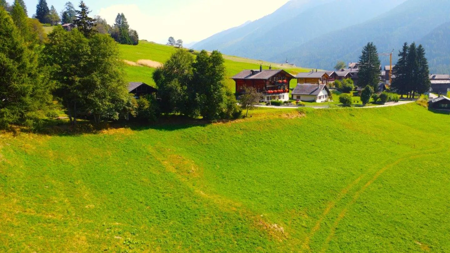 Non-buildable land on the edge of the forest in Goms - Photo 11 of 13