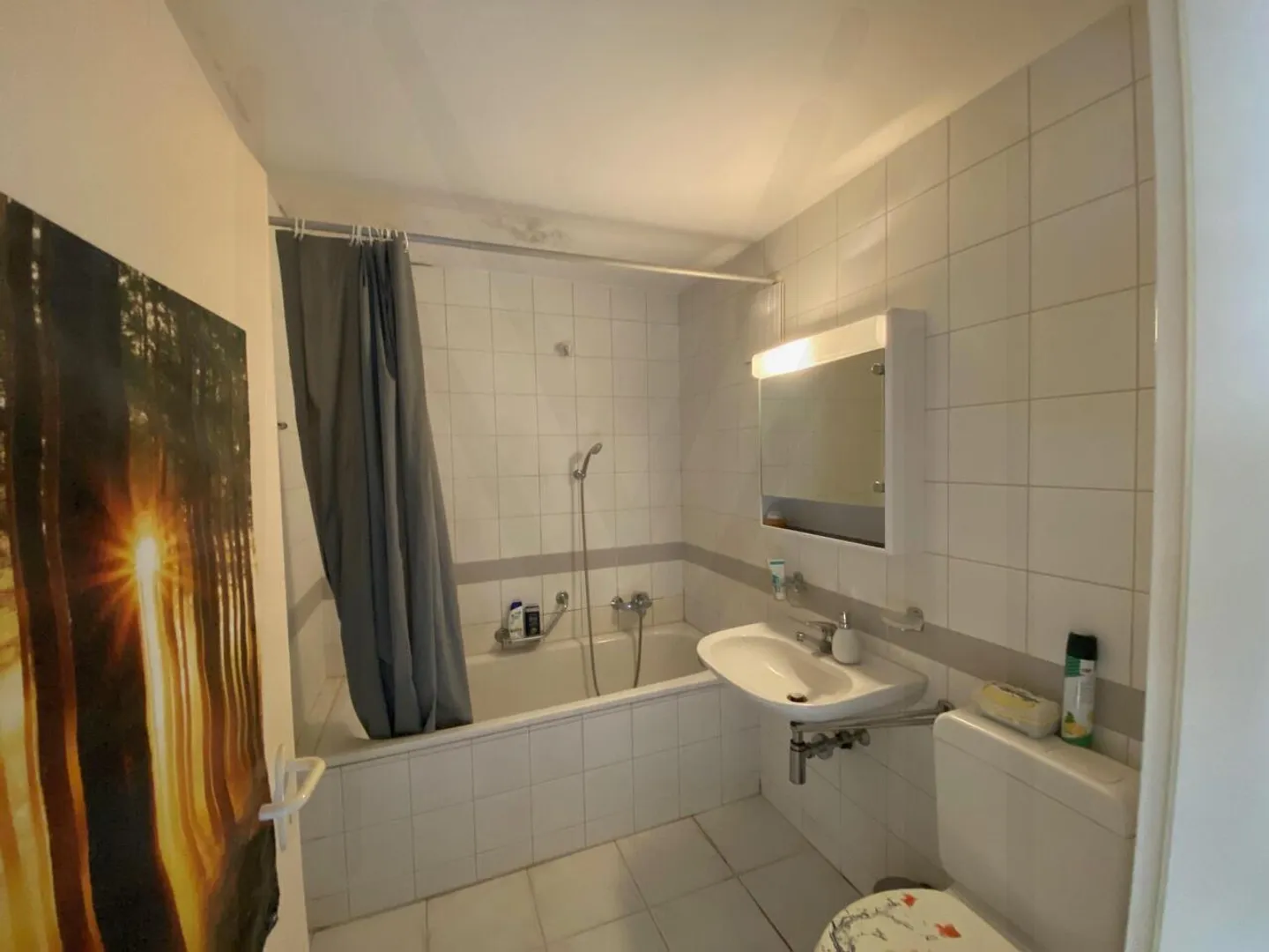 Appartamento affittato, rendimento locativo immediato - Foto 9 di 10