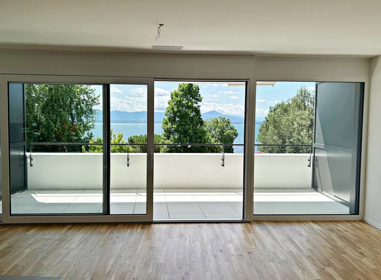Magnifico appartamento di 3,5 stanze con nuovi standard e vista mozzafiato sul lago - Foto 2 di 13