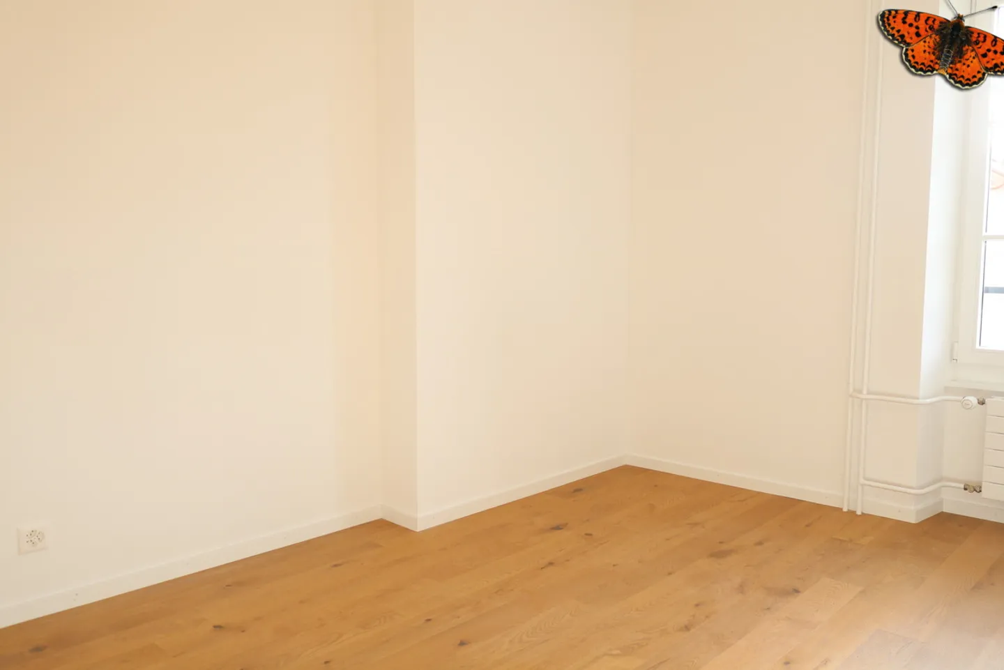 2 ZIMMER - In ruhiger Lage! - Foto 5 von 8