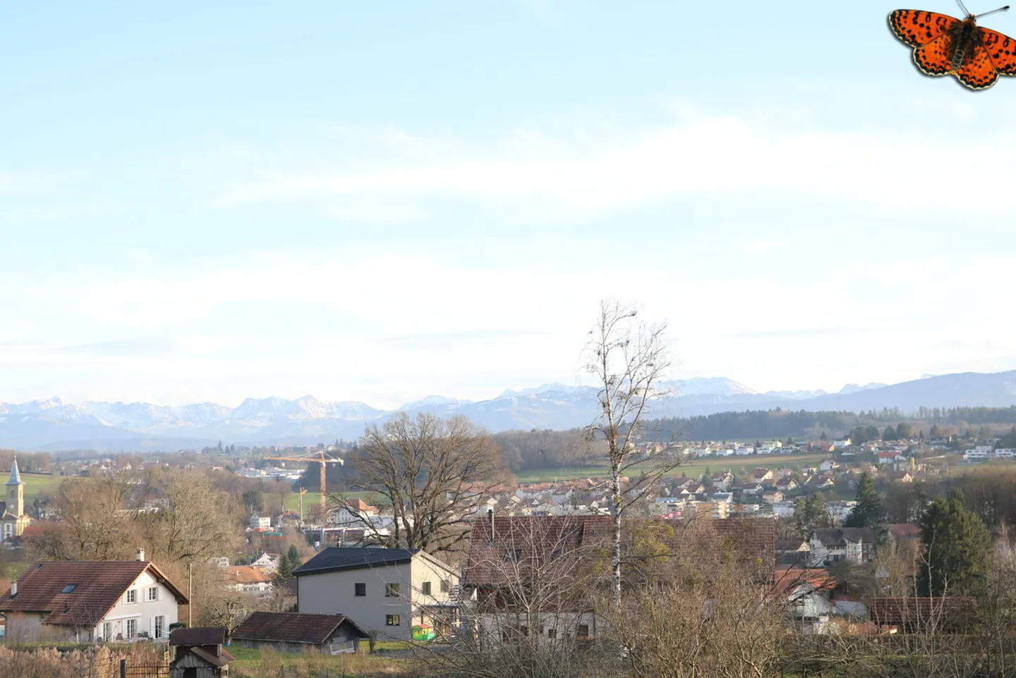 2 ZIMMER - In ruhiger Lage! - Foto 7 von 8