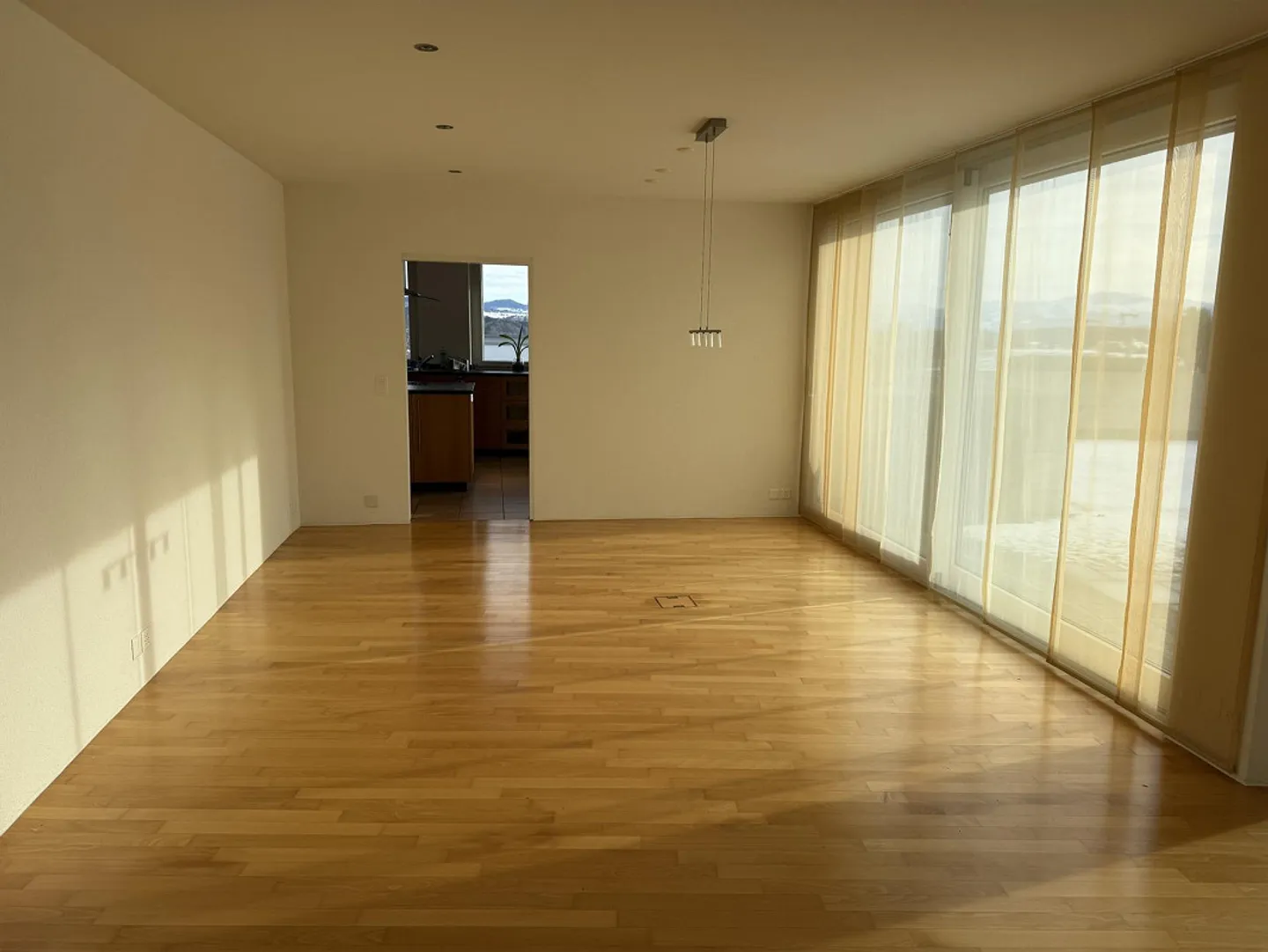 Spacious Single-Family Home with Great View - Photo 8 of 28