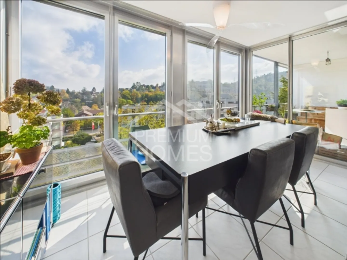 Vue panoramique avec sensation de vie - Au-dessus des toits de Liestal - Photo 3 sur 4