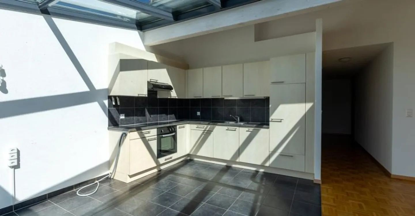 Magnificent bright duplex apartment just steps from the lake - Photo 3 of 8