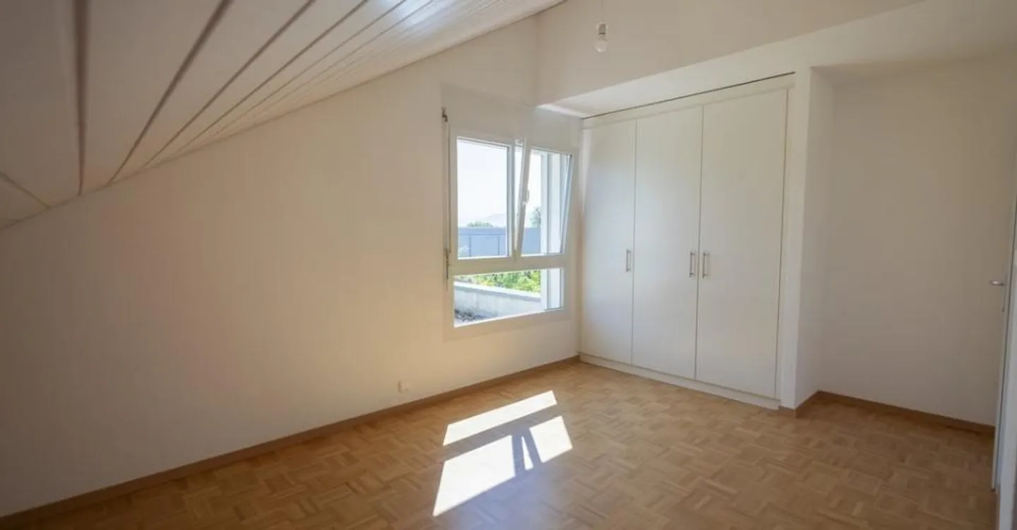 Magnificent bright duplex apartment just steps from the lake - Photo 6 of 8
