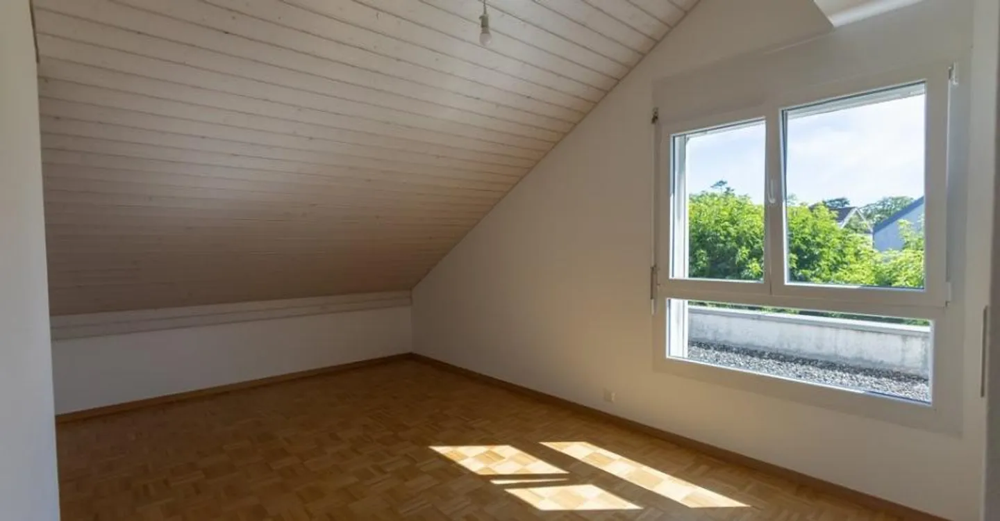Magnificent bright duplex apartment just steps from the lake - Photo 7 of 8