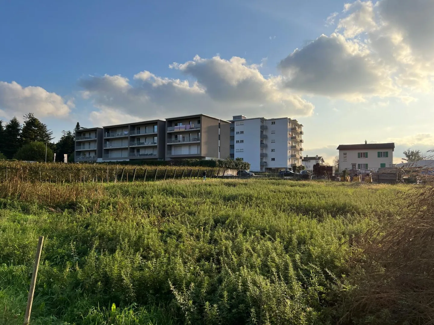 Industrieland von ca. 2'600 m² in Mendrisio - Foto 1 von 2