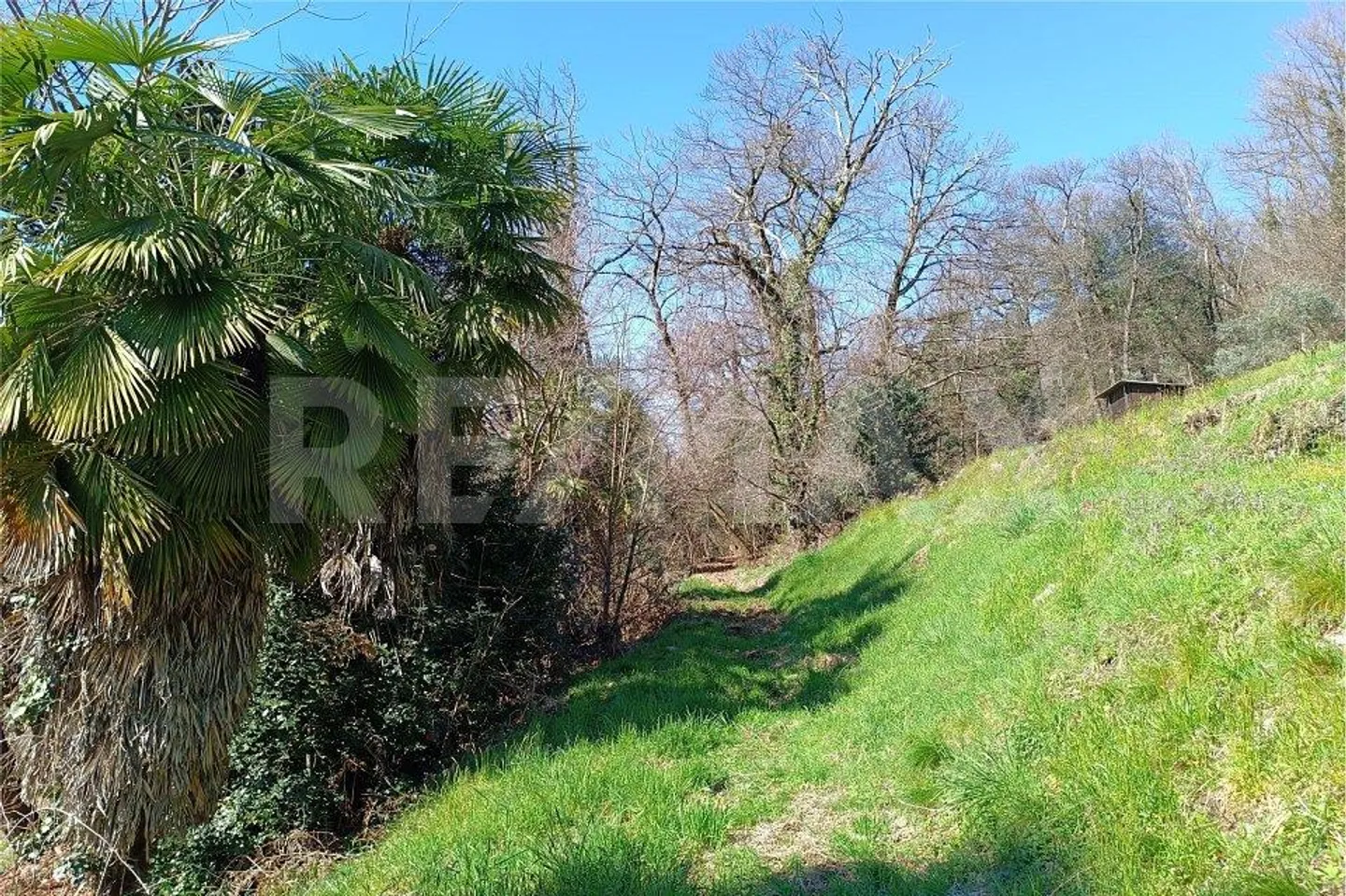 SESSA - SUINO: Rustico per vacanze con loggia e giardino separato - Foto 10 di 13
