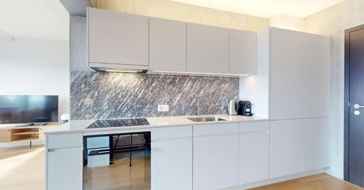 Appartamento Premium con 1 Camera da Letto nel Nuovo Alto Tower – Freihofstrasse 23, Zurigo - Foto 4 di 7