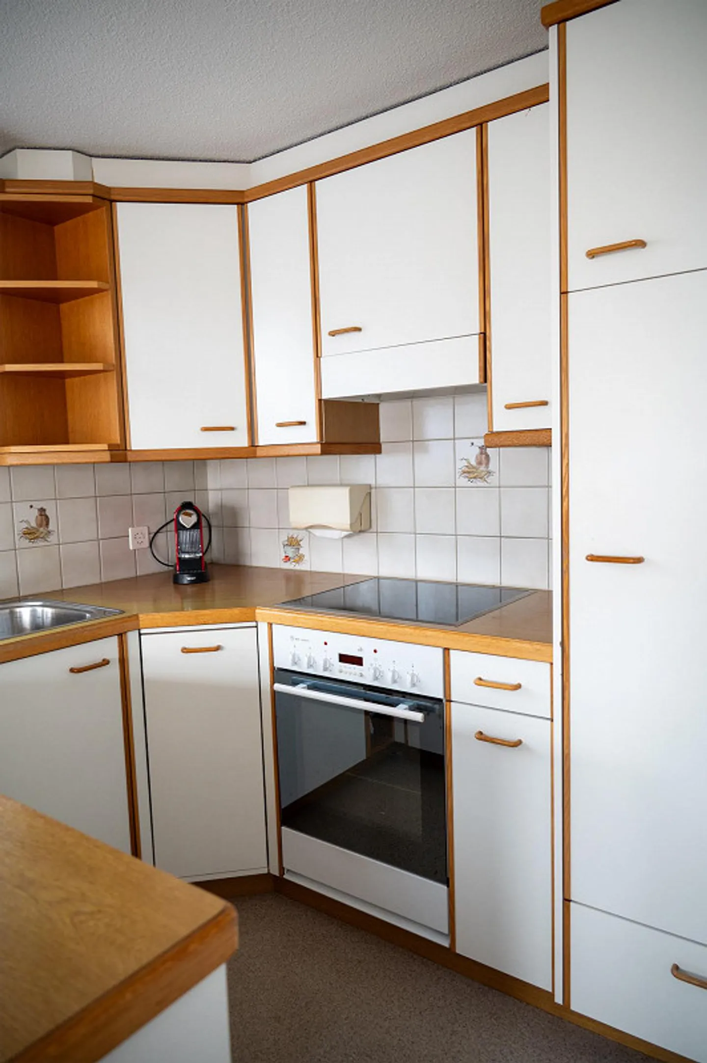 5.5-Room Single-Family House with Dream Garden - Photo 3 of 22