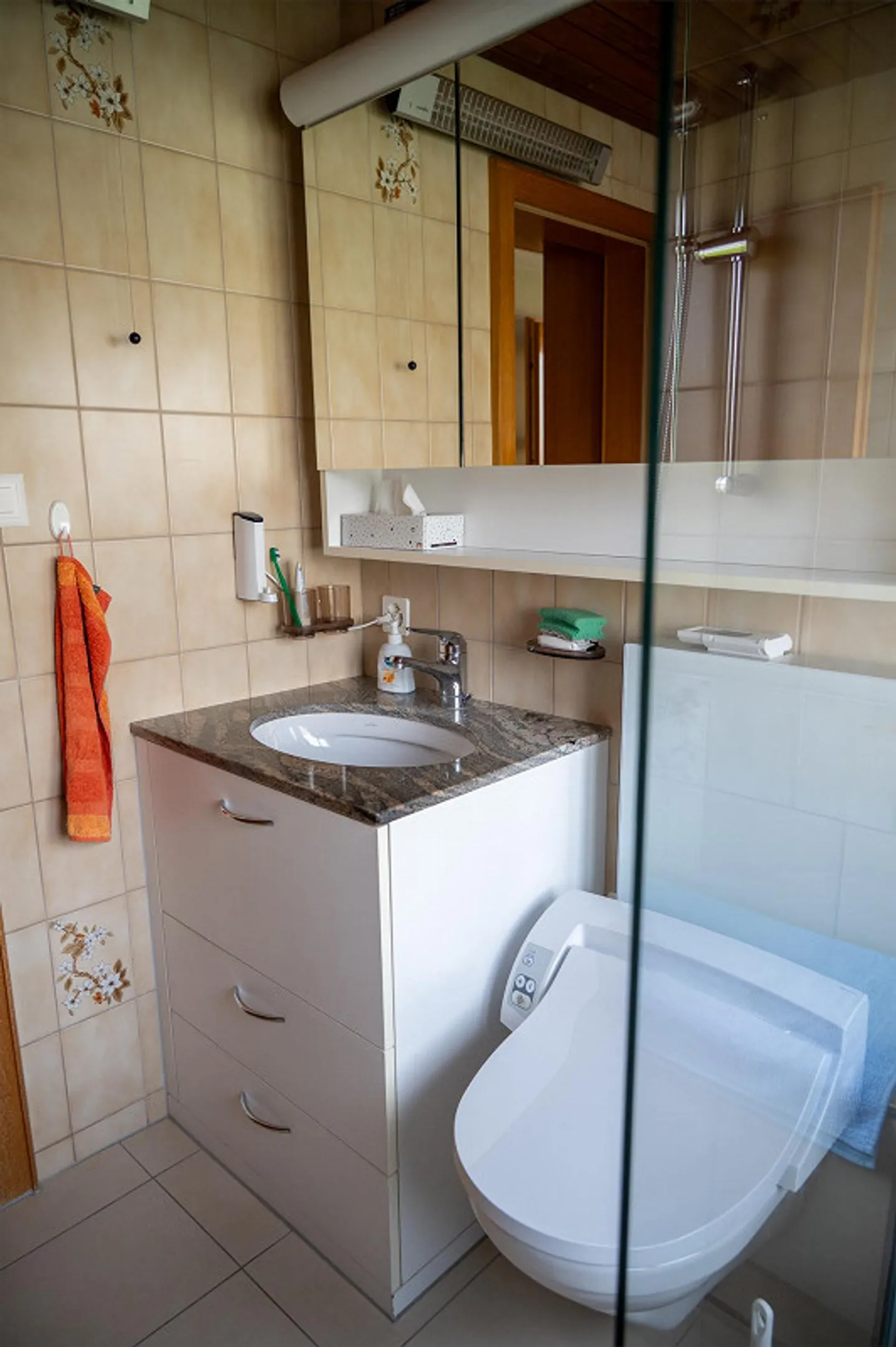 5.5-Room Single-Family House with Dream Garden - Photo 6 of 22