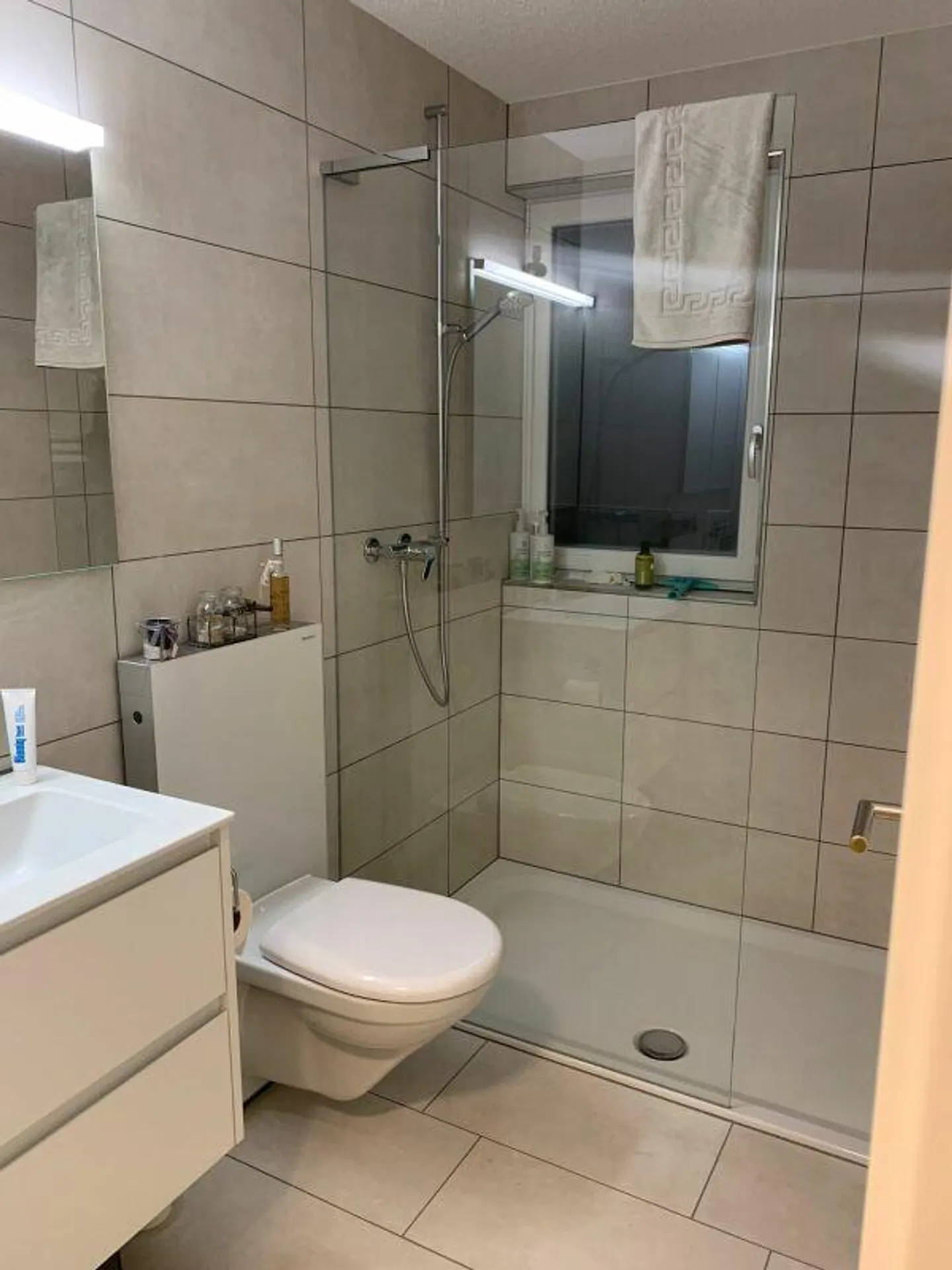 Appartement 3.5 pièces à Aspi près de Seedorf à louer - Photo 9 sur 10