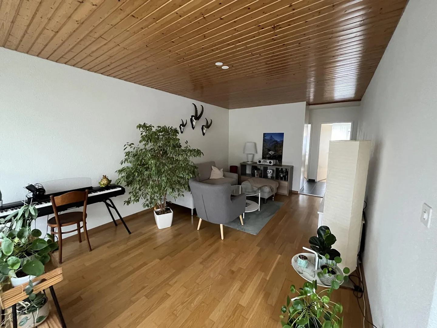 3.5 Room Apartment in Ostermundigen - Photo 1 of 7