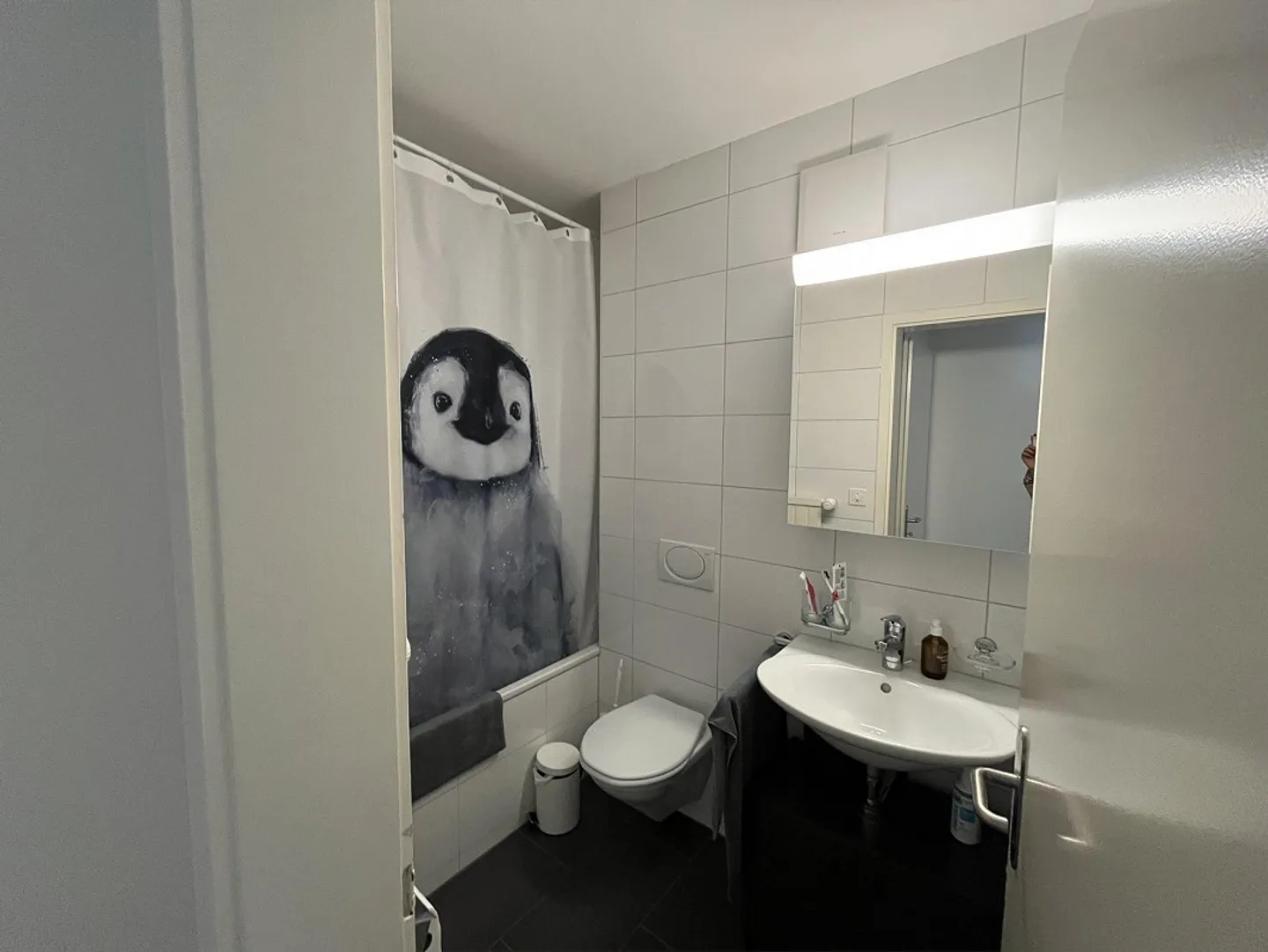 3.5 Room Apartment in Ostermundigen - Photo 6 of 7