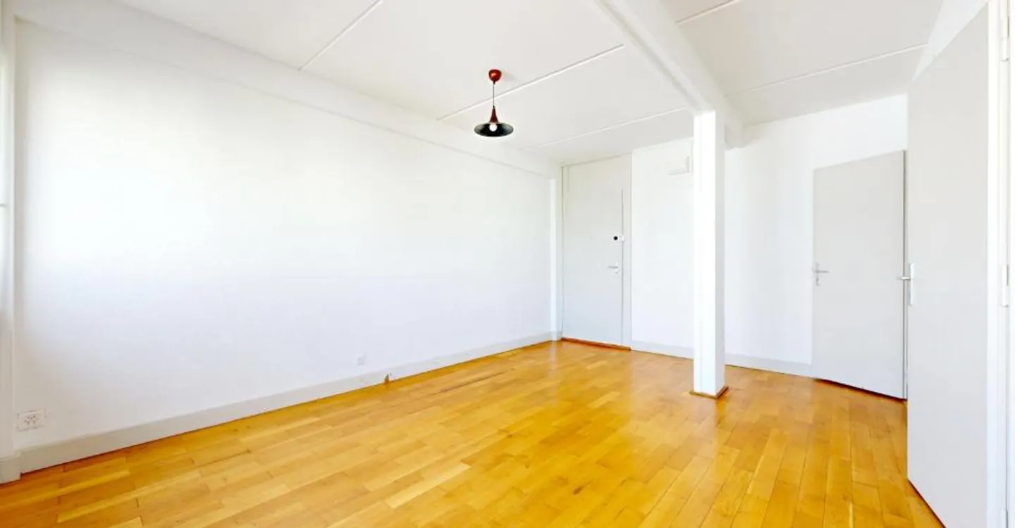 Beautiful 2-room apartment in Carouge! - Photo 3 of 4