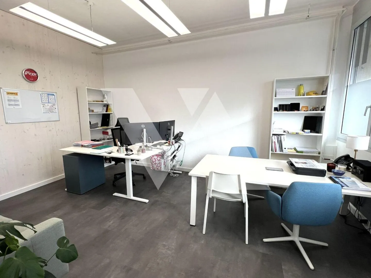 Laboratorio - Foto 4 di 7