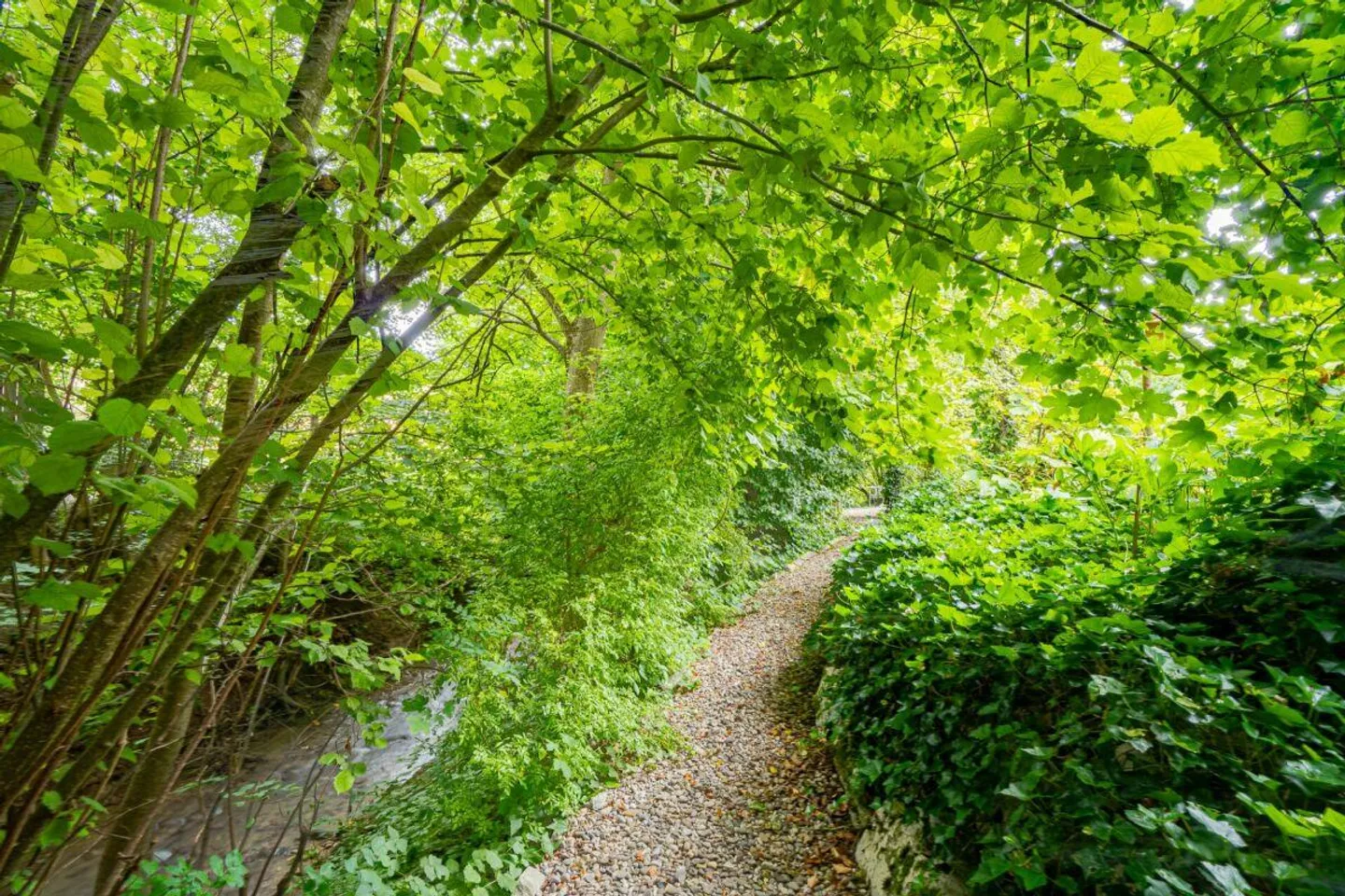 Paradiso del giardino di 6,5 stanze - Foto 6 di 30