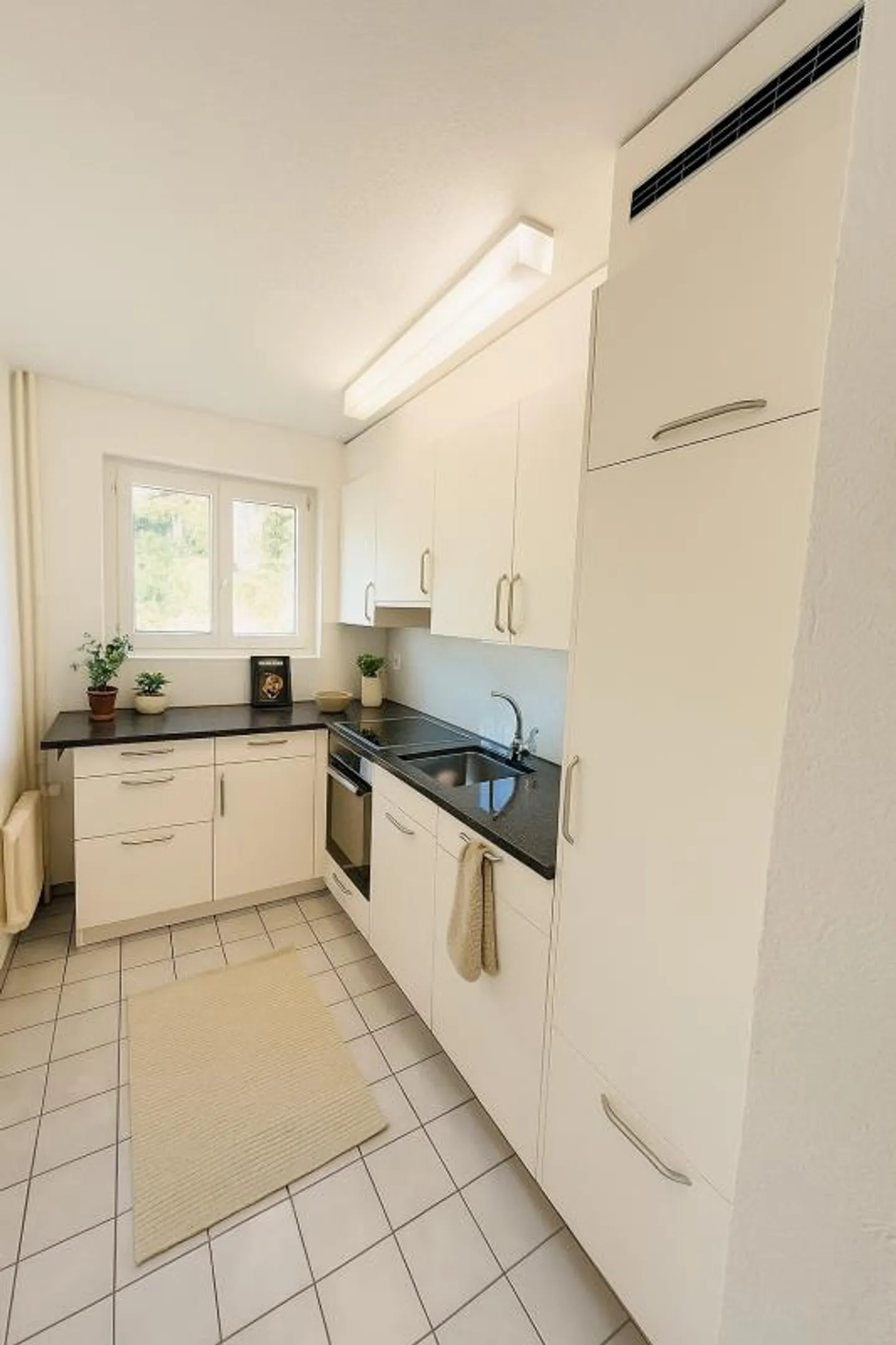 Quiet apartment in sunny neighborhood - Photo 4 of 5