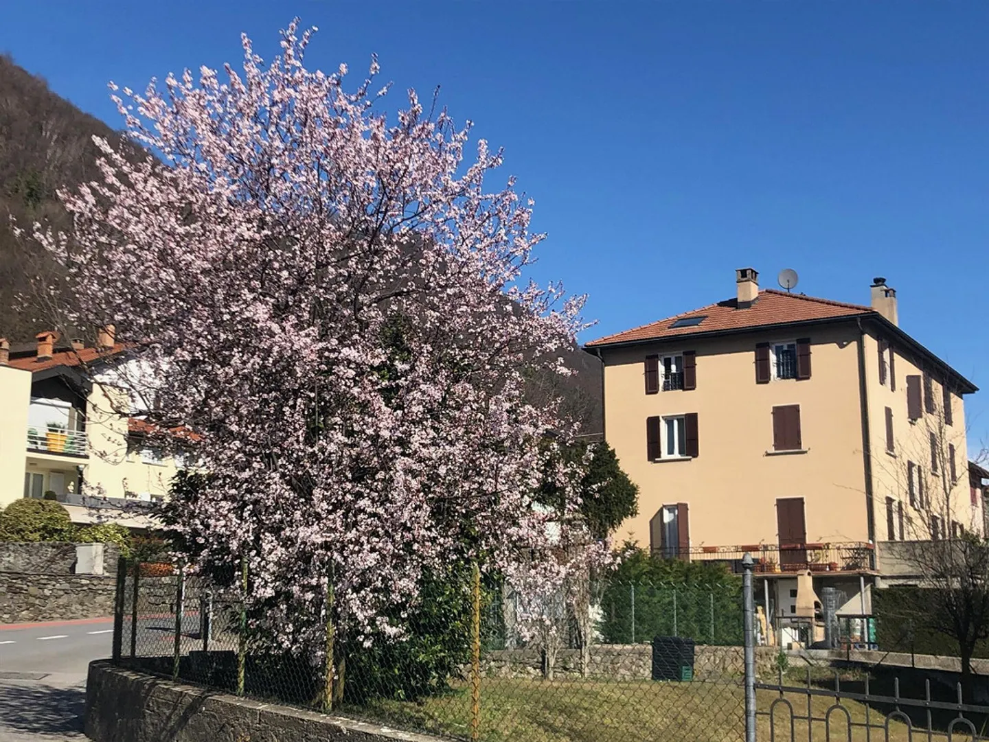 CHARACTERISTIC 4.5 ROOMS ON THE TOP FLOOR IN BEDANO - Photo 9 of 9