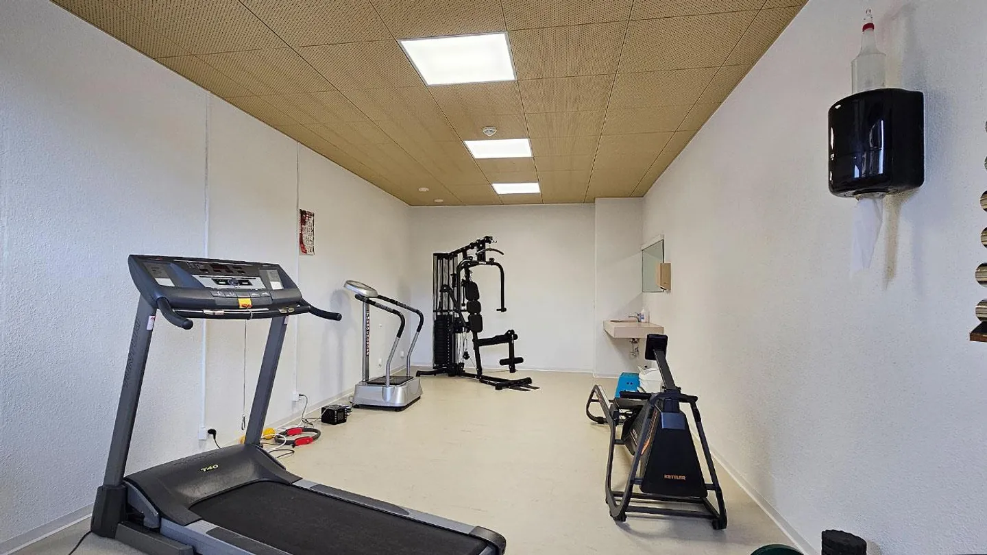 3.5-Room Maisonette Apartment in the Center with Indoor Pool and Sauna - Photo 7 of 8