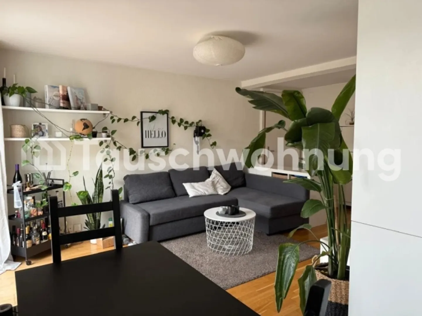 3-room apartment in Zurich, District 3 for exchange - Photo 2 of 12