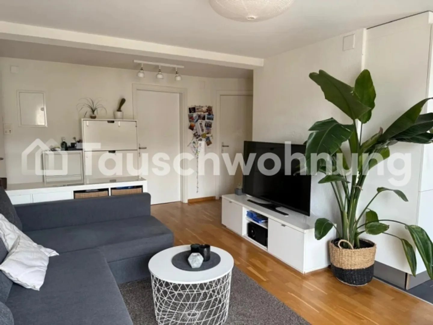 3-room apartment in Zurich, District 3 for exchange - Photo 3 of 12