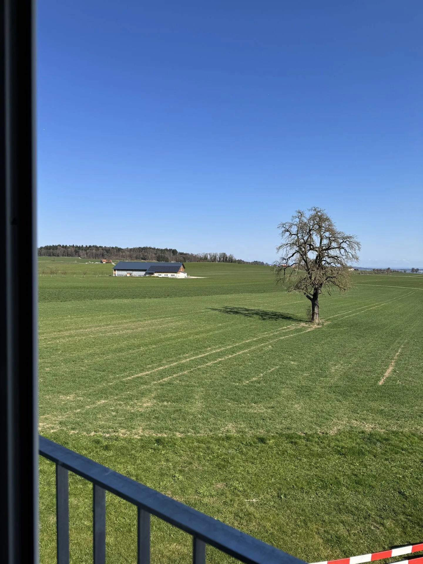 Alpenblick Wetzikon TG - Photo 8 of 8